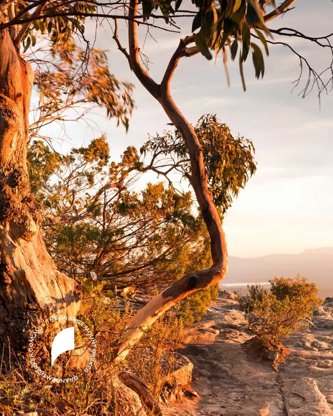 The Adelaide Hills at sunset